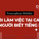 Francophone Mobility